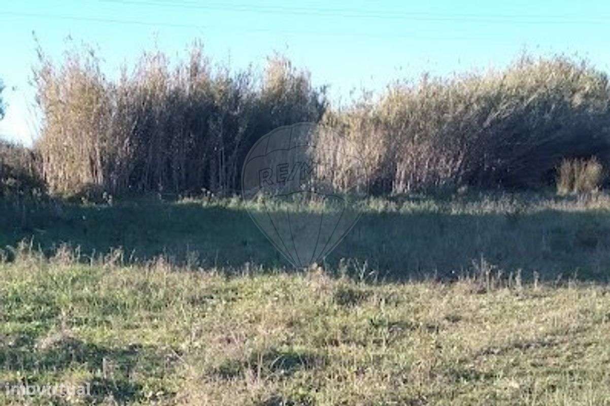 Terreno  para venda - Grande imagem: 4/13