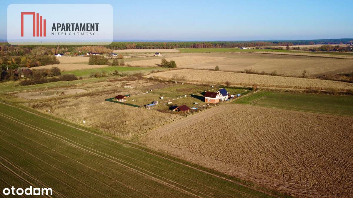 Działka pod Trzebnicą! Media! Piękna Okolica! - Pełny obrazek: 4/5