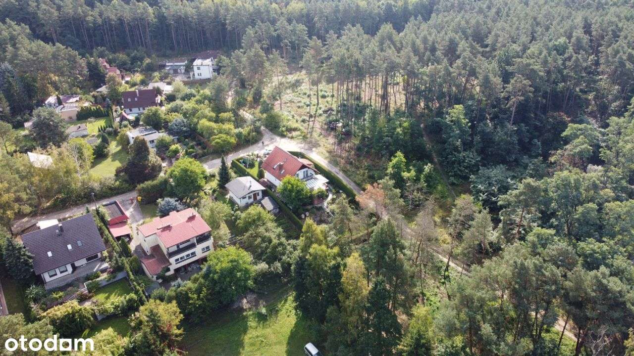 Działka w otoczeniu lasu blisko rzeki - Pełny obrazek: 3/6