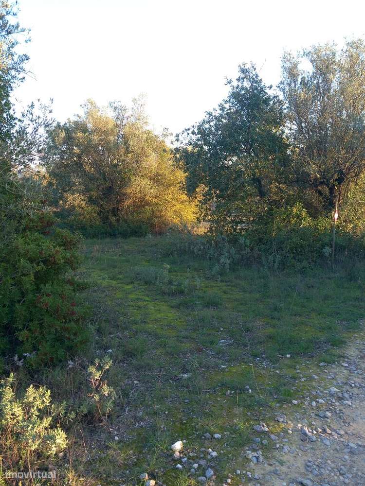 Venda Terreno - Grande imagem: 4/4