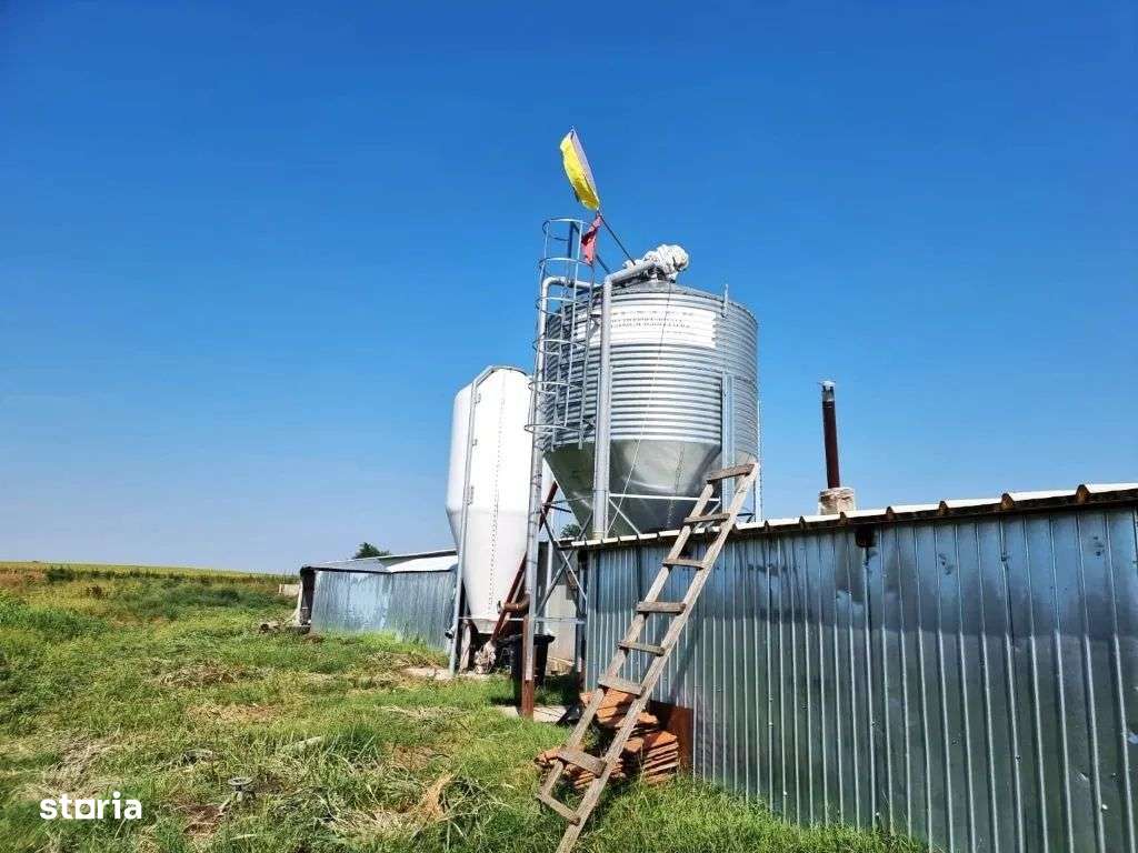 Ferma de gaini ouatoare in sistem free-range | 45.000 mp teren-1