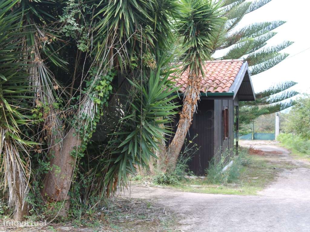Moradia térrea com anexo e amplo logradouro - Valença - Grande imagem: 4/25
