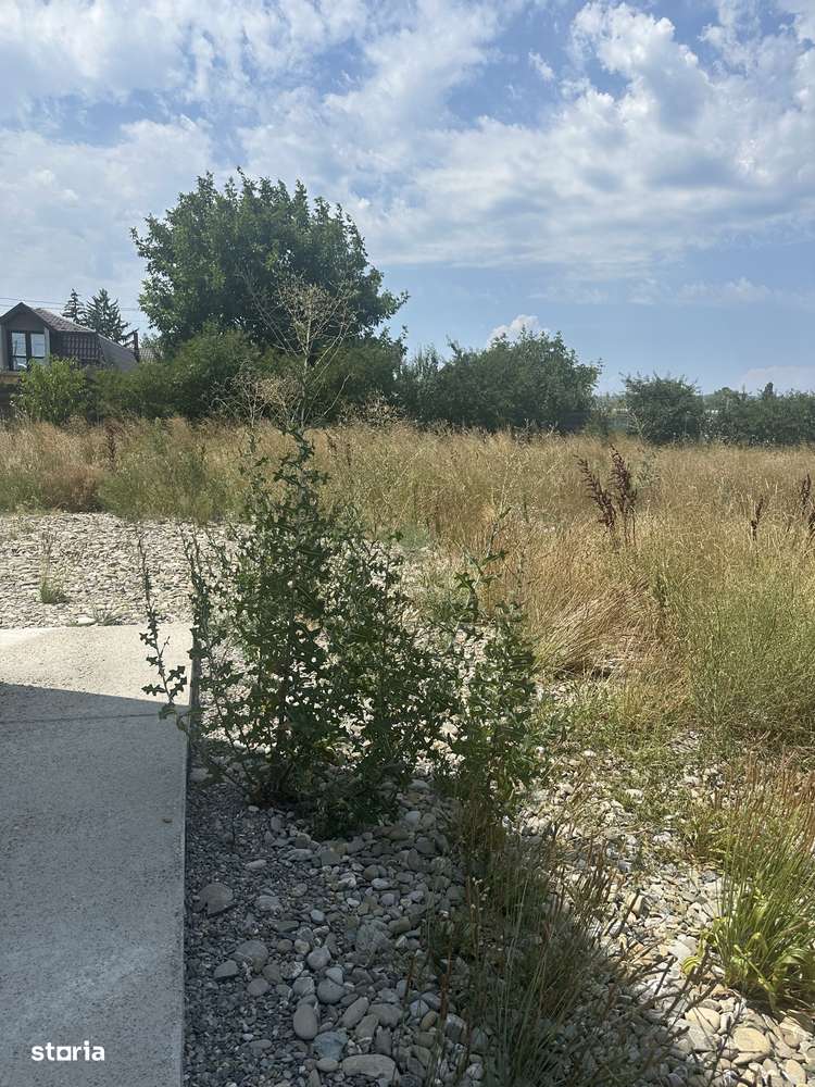 Florești - hala 200mp - 1500 Euro/luna - Imagine principală: 5/7