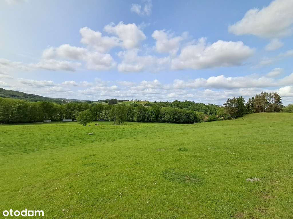 Wyjątkowa działka z naturalnym klimatem - Pełny obrazek: 5/9