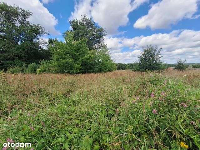 Działka, 4 240 m², Zglinna Duża-5
