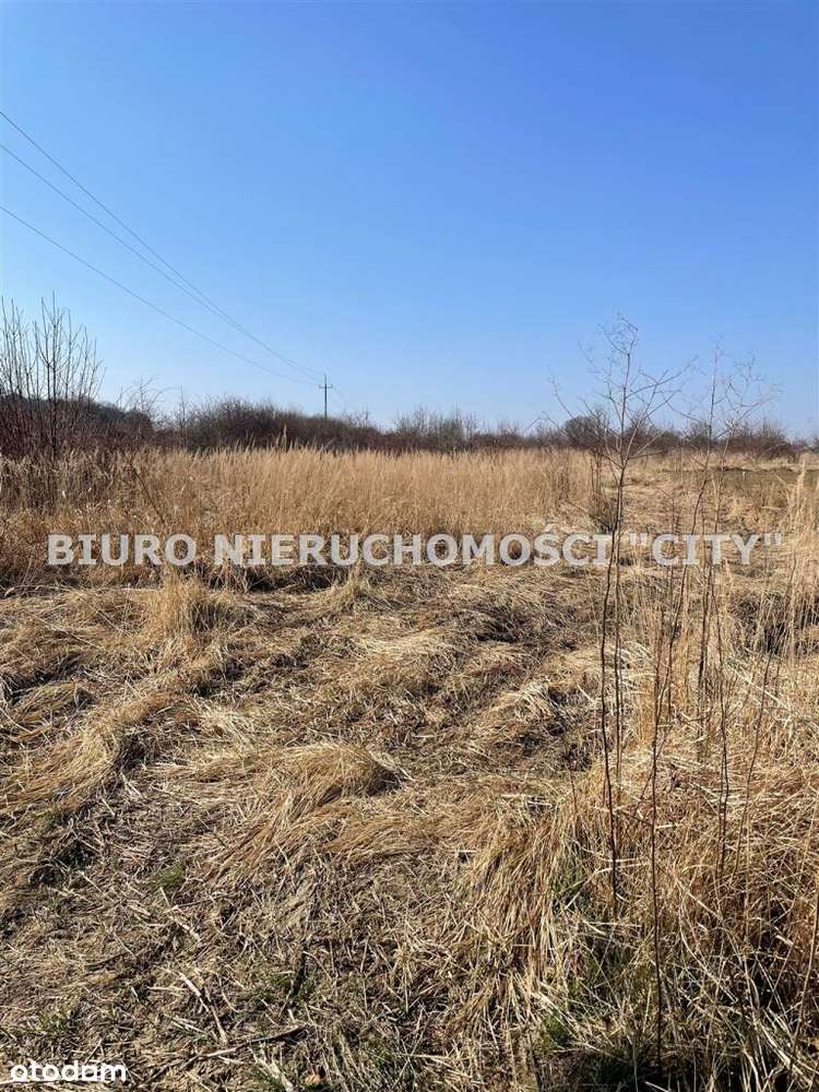 Działka, 3 004 m², Żary - Pełny obrazek: 4/13