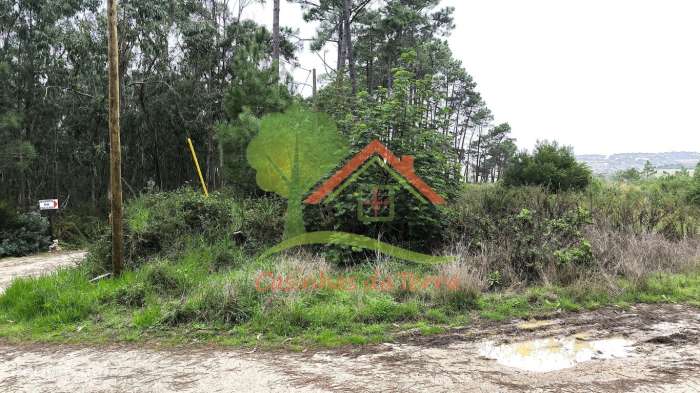 Terreno rústico com quintas em redor-5