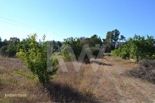 Terreno com Casa Agrícola e uma outra para recuperar Valverde Fundão - Grande imagem: 4/60