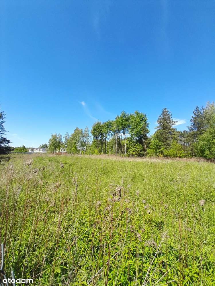 Działka 3940 m2, Łubna/Janówek, gm. Góra Kalwaria-0