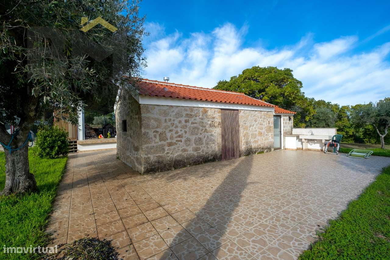 Quinta  Venda em Lardosa,Castelo Branco - Grande imagem: 5/51