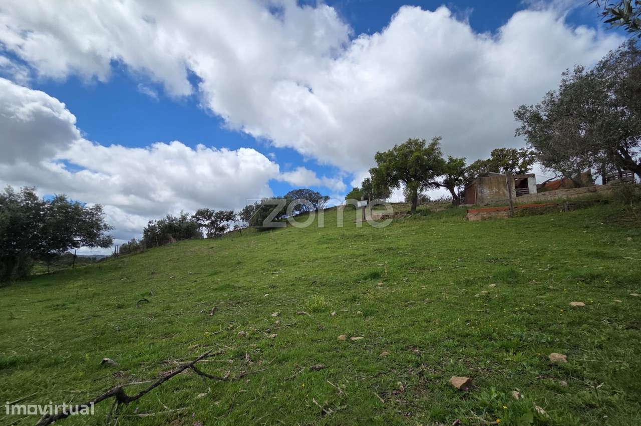 Terreno Urbano - Santa Luzia - Ourique - Grande imagem: 3/17