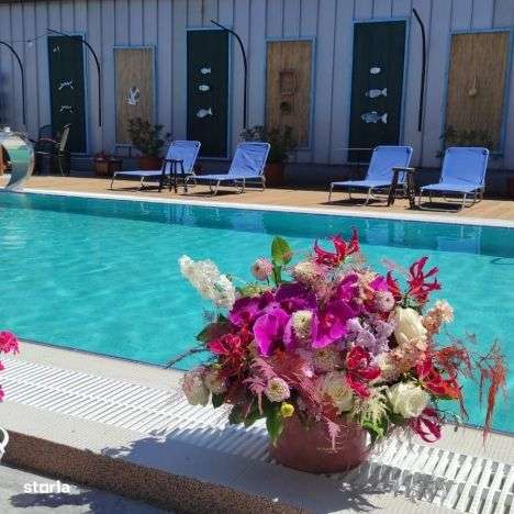 Pensiunea Lotca o pensiune de vis!-14