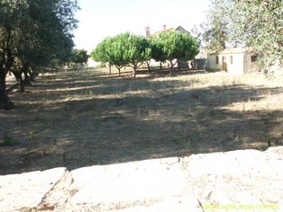 Moradia Isolada T2+2 Venda em Cadima,Cantanhede - Grande imagem: 4/14