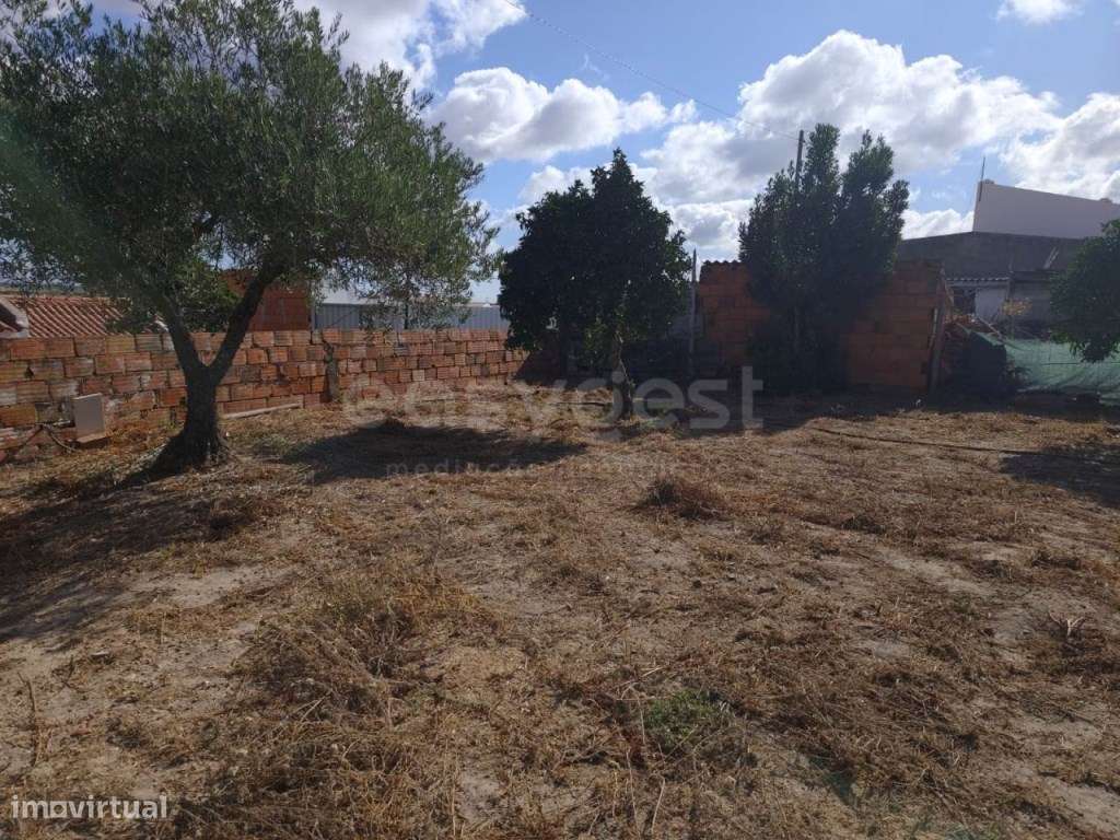 Terreno Urbano em Figueira dos Cavaleiros - Ferreira do Alentejo - Grande imagem: 5/12