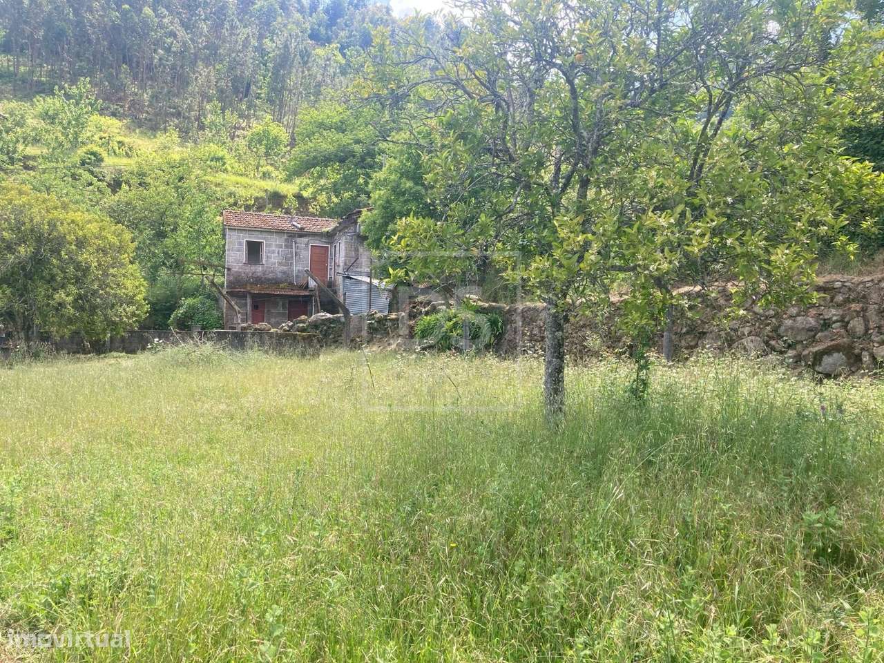 Quinta T2 Venda em Paredes de Viadores e Manhuncelos,Marco de Canavese-11