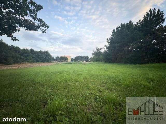 Kotowice-Działka-Las-blisko Wrocław/ Szewce-10