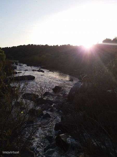 Terreno com 5..5 hectares - Grande imagem: 4/9