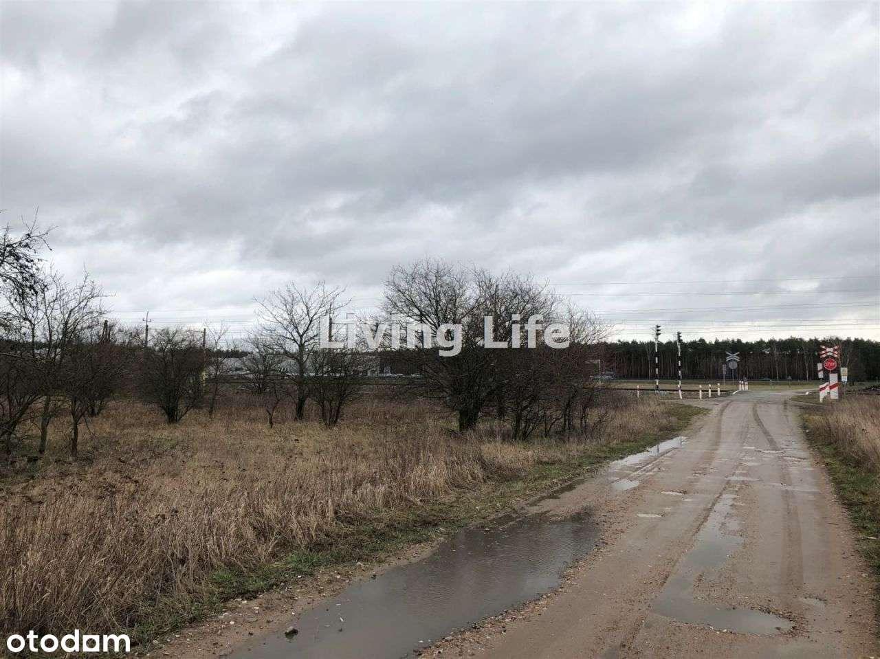 Nieruchomość pod Ag, Golęczewo - Pełny obrazek: 5/5