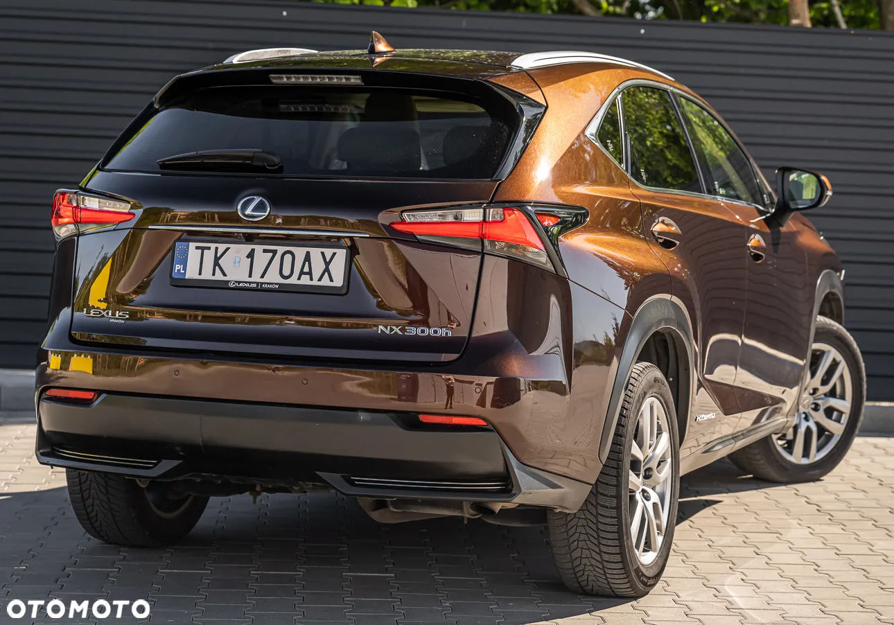 Lexus NX - 12