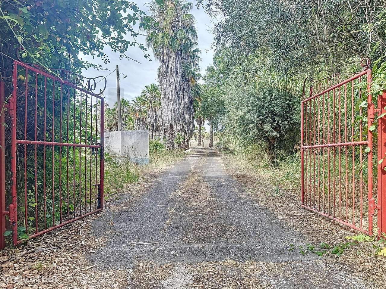 Quinta privada T4, com piscina, em Vila de Frades, Vidigueira - Grande imagem: 4/60