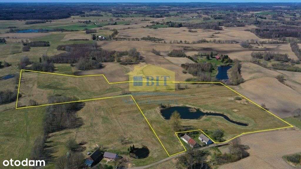 Działka 8,3 ha, ze stawem, Nowy Toporzyk - Pełny obrazek: 4/13
