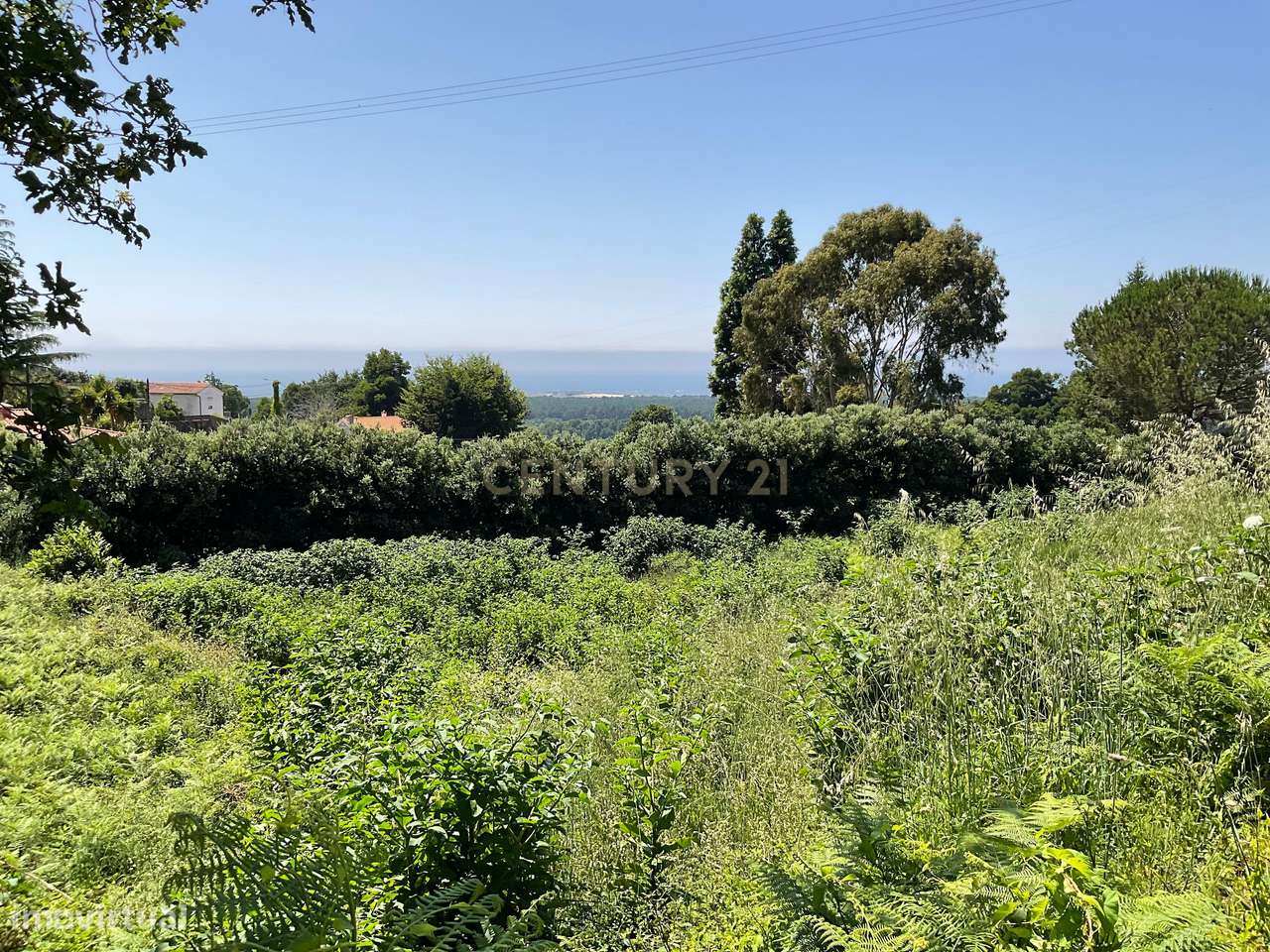 Deslumbrante Terreno com Vista Panorâmica em Cristelo, Caminha - Grande imagem: 4/11