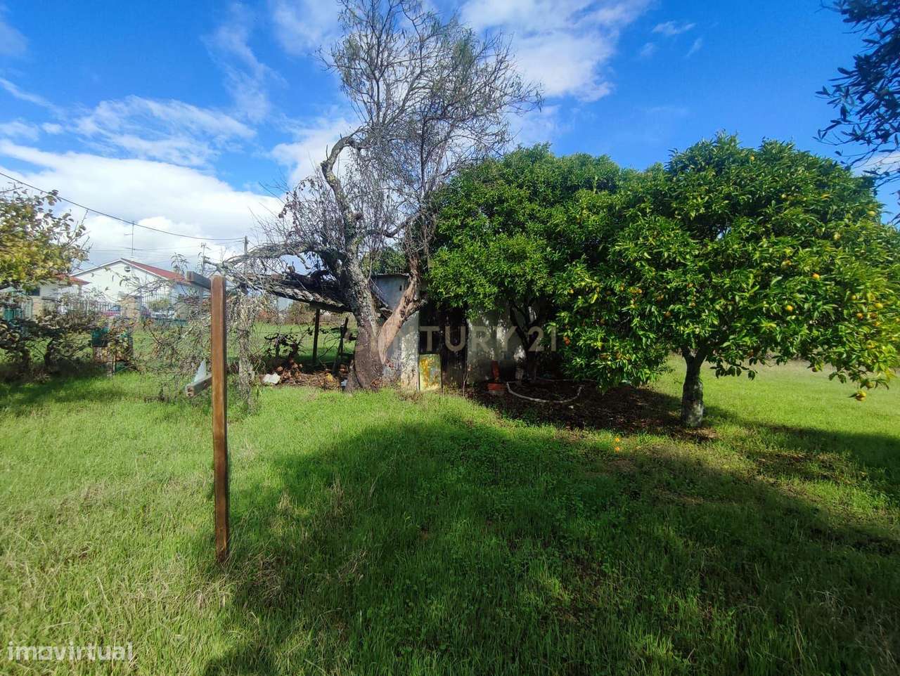 Lote de Terreno para Construção, Tinalhas, Castelo Branco - Grande imagem: 4/11