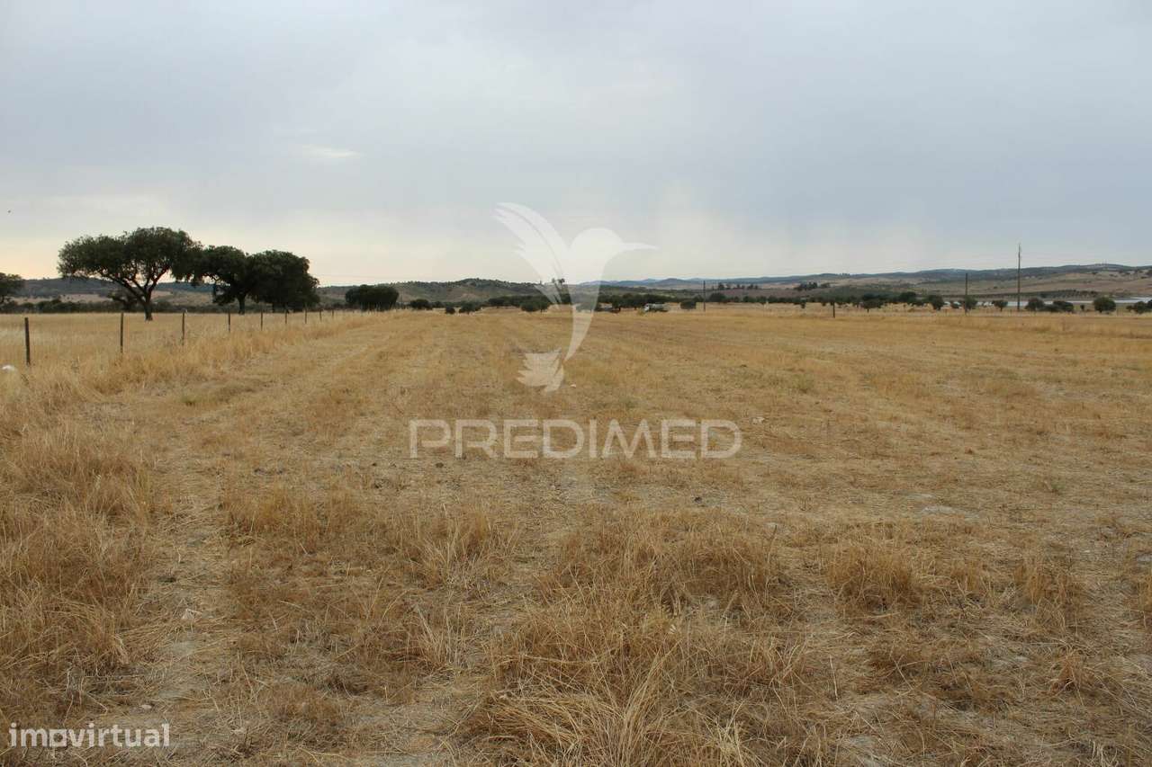 Terreno Rústico - Grande imagem: 5/15