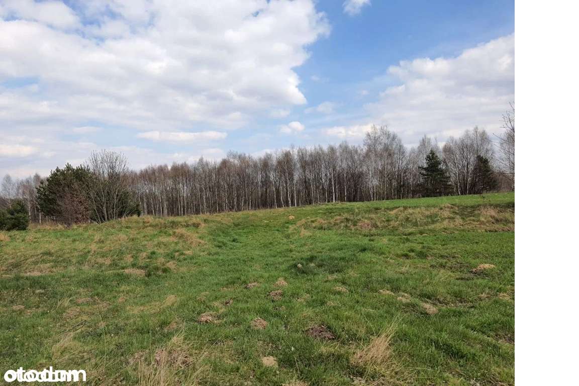 Interesująca działka pod budowę osiedla domów jednorodzinnych - Pełny obrazek: 4/4