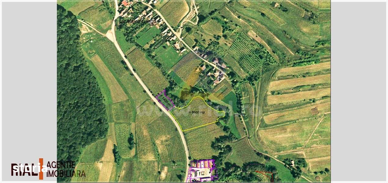 Teren intravilan 10000mp - Imagine principală: 2/5