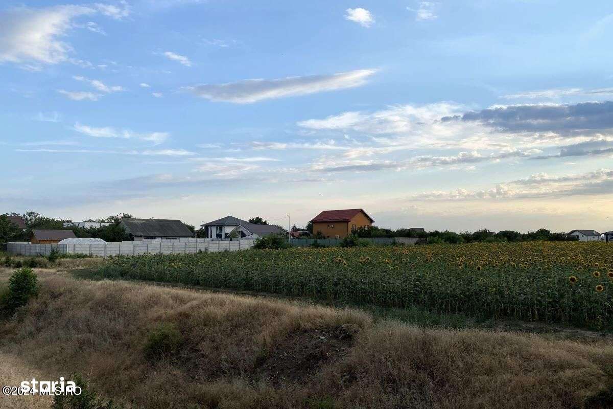 Tamasi, langa padure, 12.824 mp, deschidere 45 ml, teren cu potential - Imagine principală: 2/12