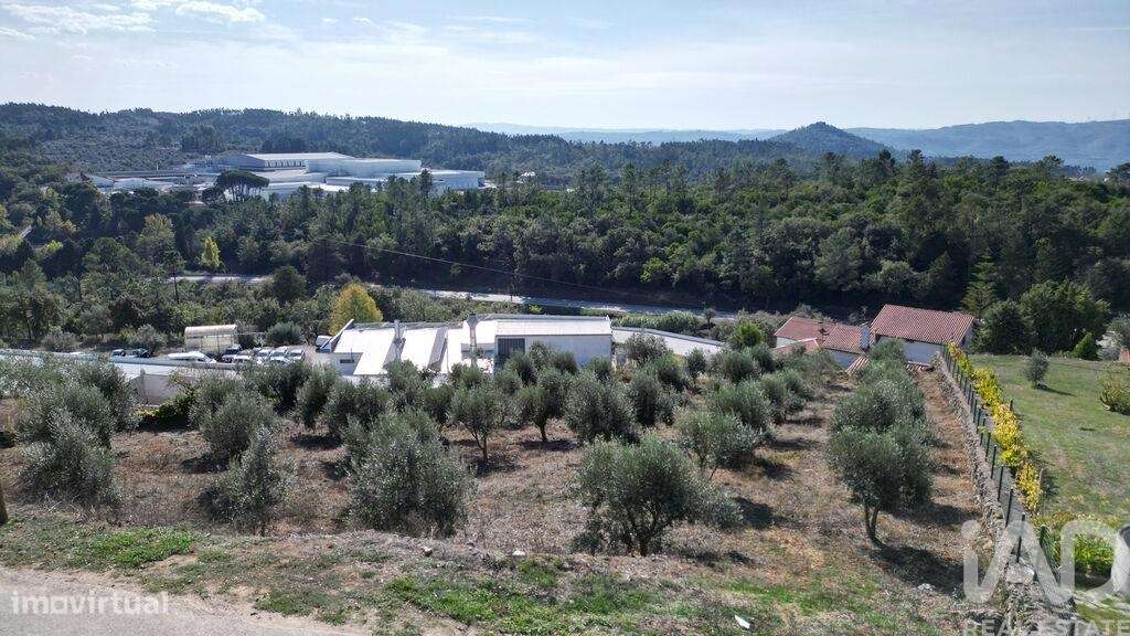 Terreno para construção em São Miguel, Santa Eufémia e Rabaçal - Grande imagem: 5/12