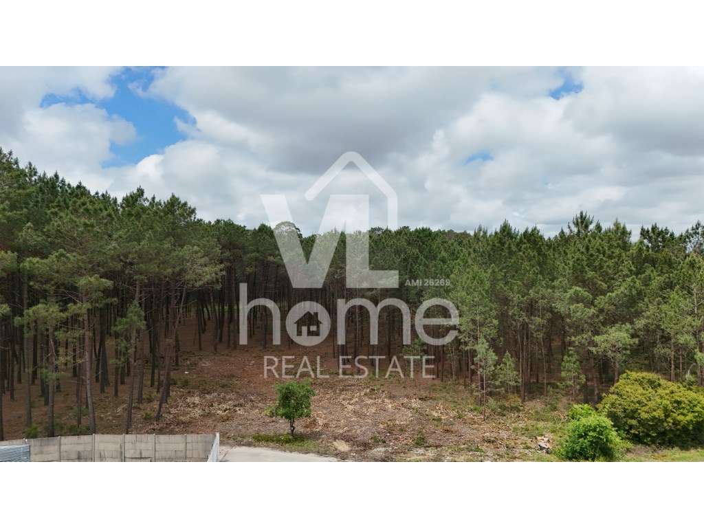 Terreno com Potencial para Moradias - Natureza e Conveniência de Mã... - Grande imagem: 2/17