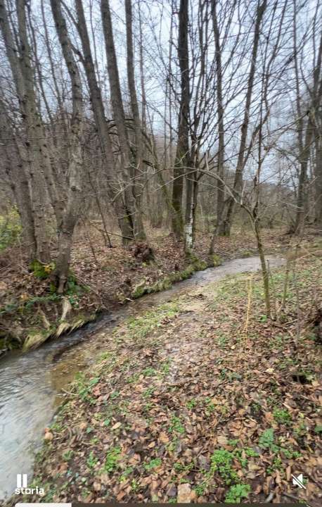 Teren intravilan 6.500 m²–Deschidere 144 ml drum european E81, km 3-2