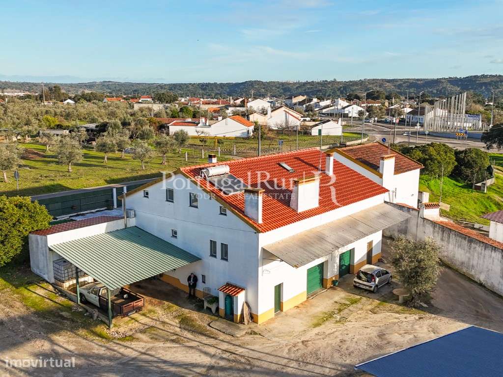 Unidade Industrial de Produção de Azeite & Elevado Potencial Produtivo-6