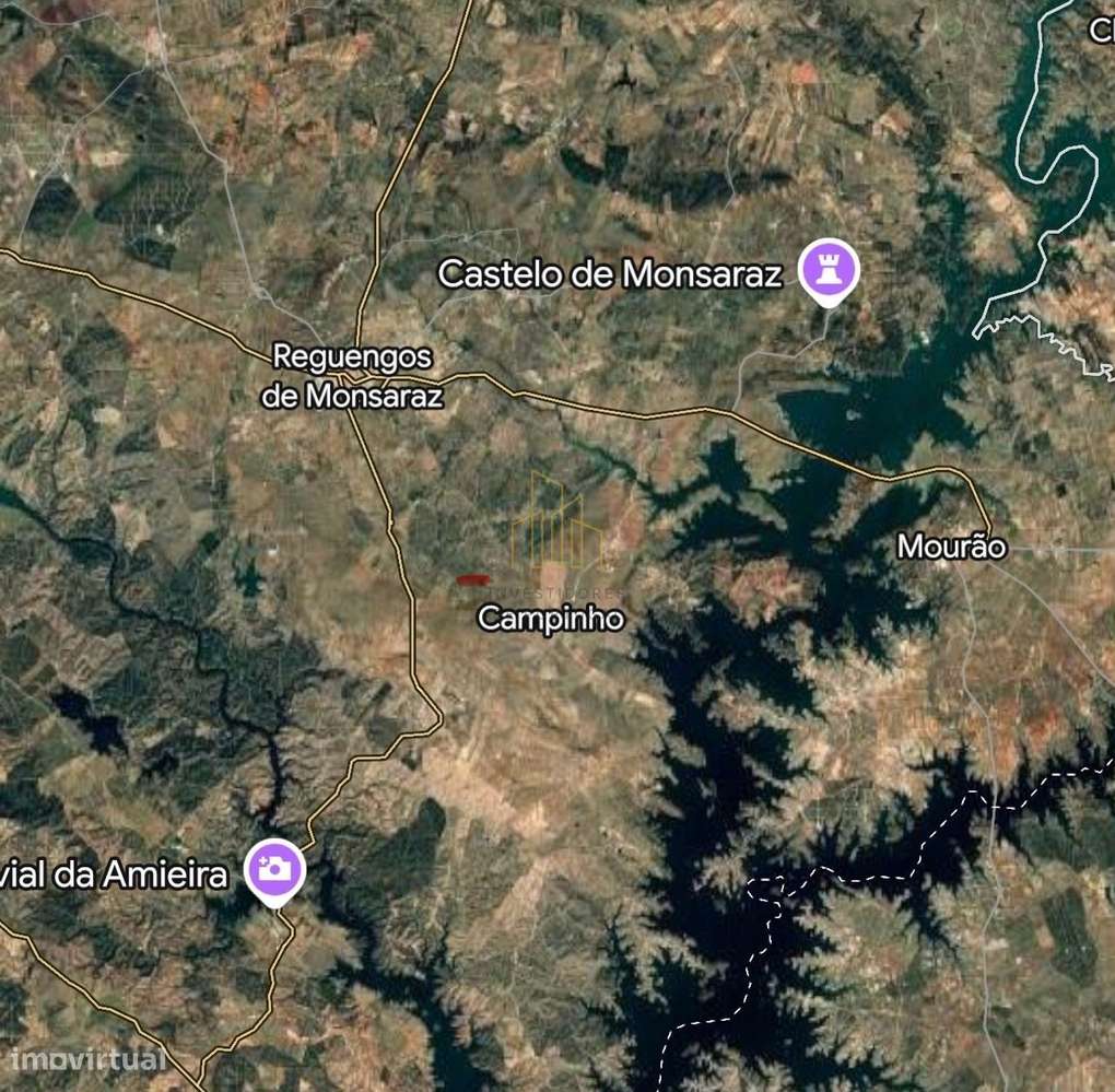 Terreno rústico com Olival em Campinho - Grande imagem: 5/5