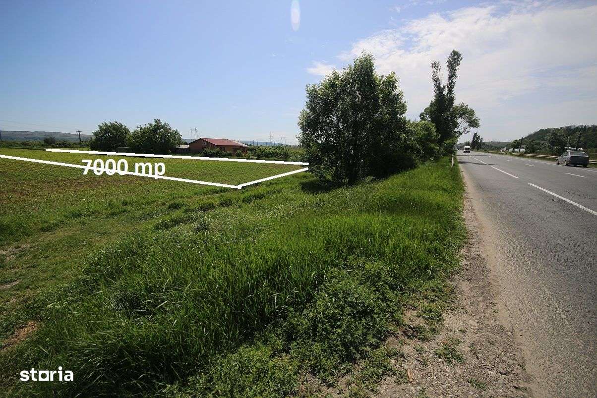 Teren Intrare Racaciuni 7000 mp 29 Latime Stradal E85 - Imagine principală: 4/9