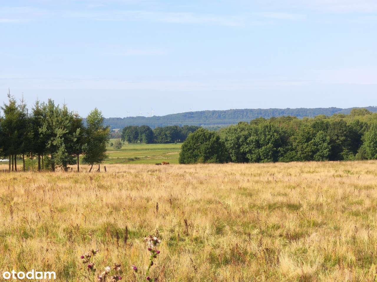 Z dala od spojrzeń sąsiadów-3