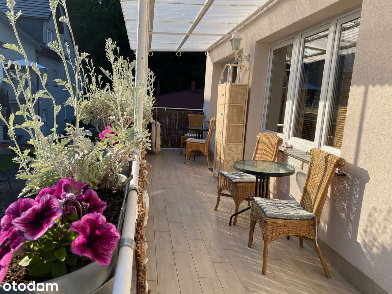 Kołobrzeg - dwa domy położone 450 m od plaży - przy lesie nadmorskim - Pełny obrazek: 5/12