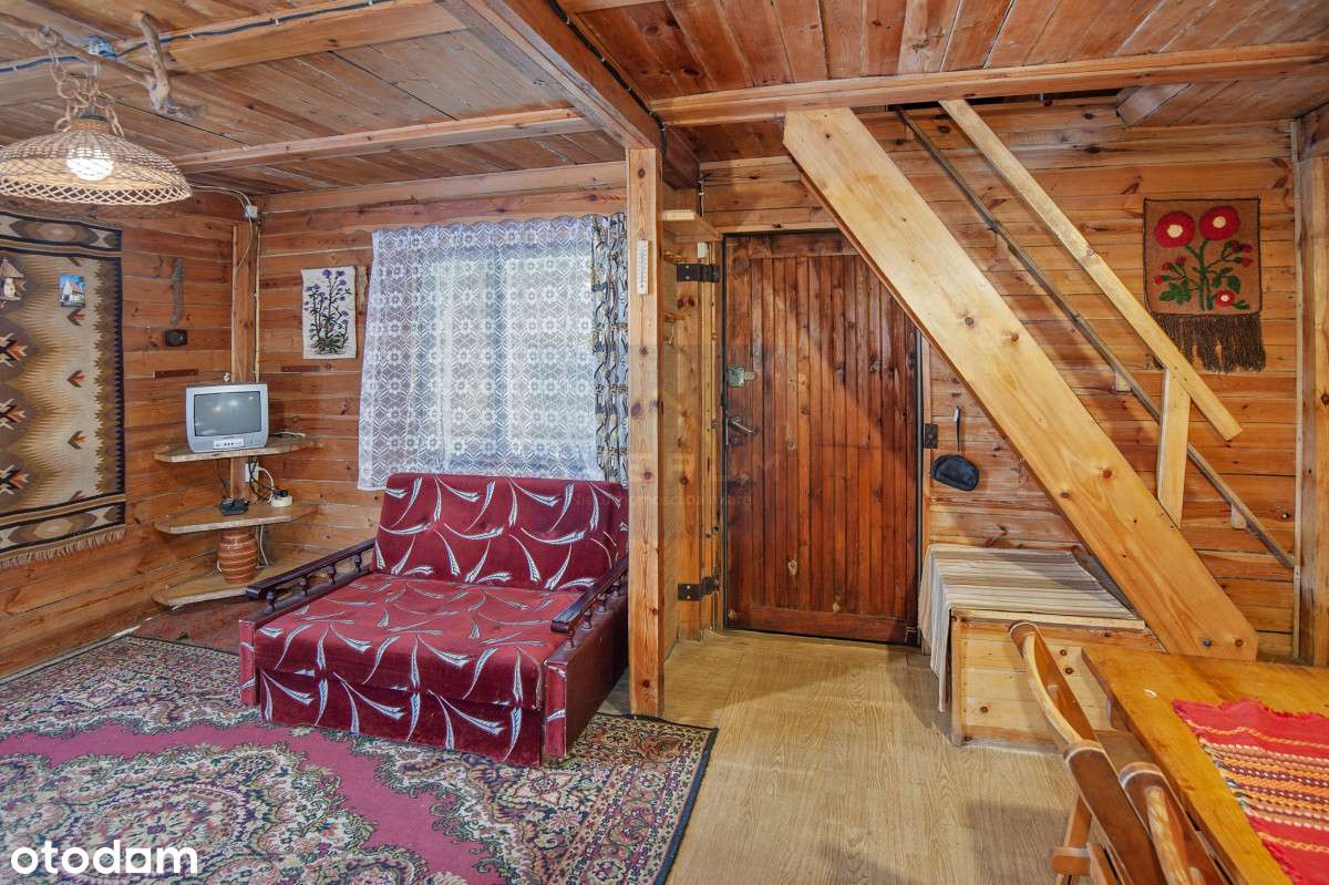 Żarki Letnisko/Dom w środku lasu z dużą działką - Pełny obrazek: 4/19