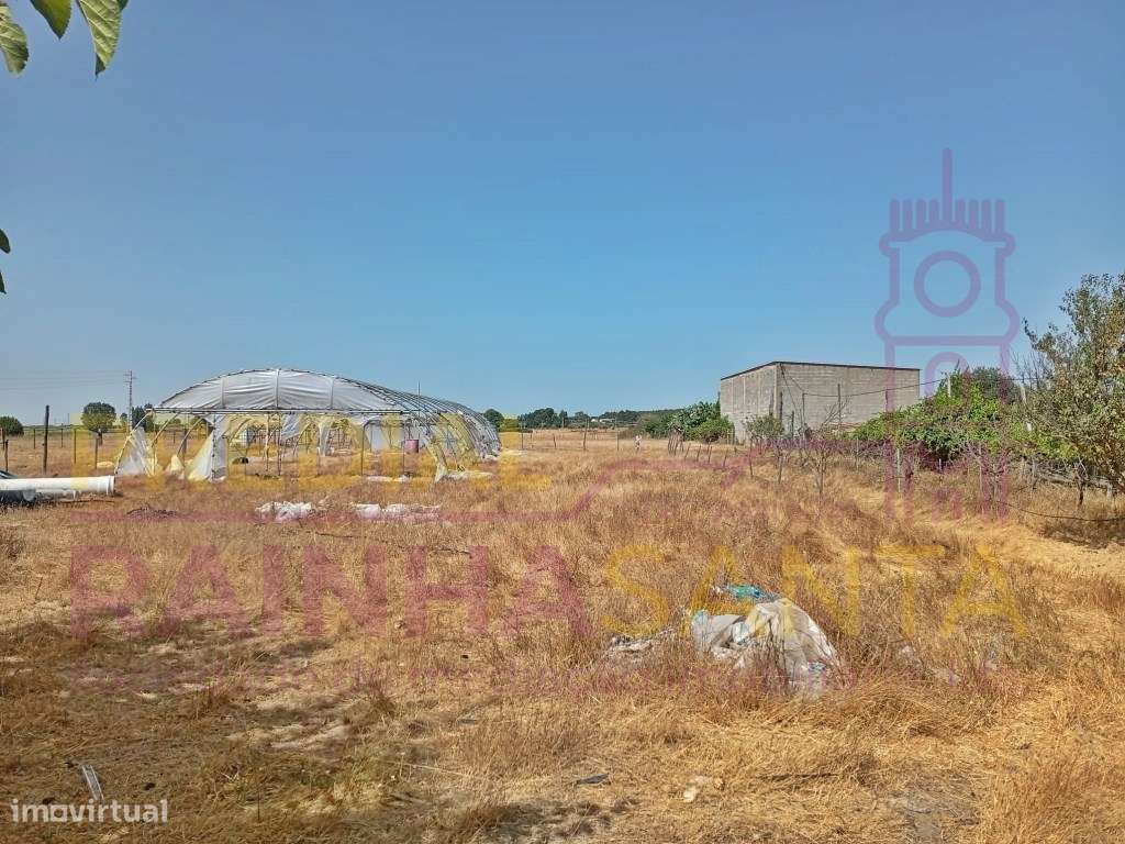 Herdade toda murada com artigo urbano 1460 m2 e rústico com 16.280 m2-9