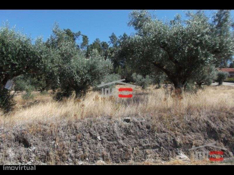 Terra de semeadura. Dá p/ construção - Grande imagem: 2/2