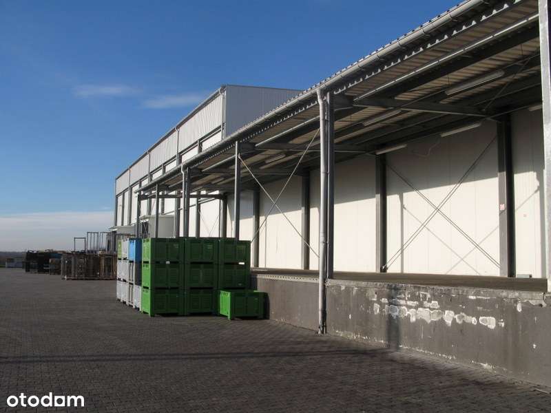 Przedsiębiorstwo DRIVA sp. z o.o. na sprzedaż. Chłodnia w Grabowie-1