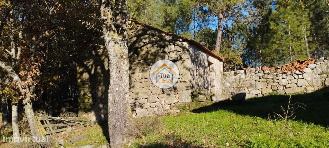 Quinta com Casa em Pedra com 5.455 m2 em Bodiosa a 10 km de Viseu - Grande imagem: 3/17