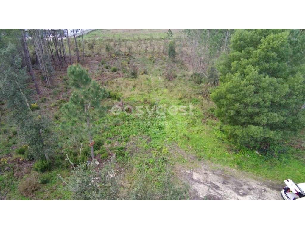 Terreno com 2120 m² para Construção Industrial na Martingança - Grande imagem: 4/16