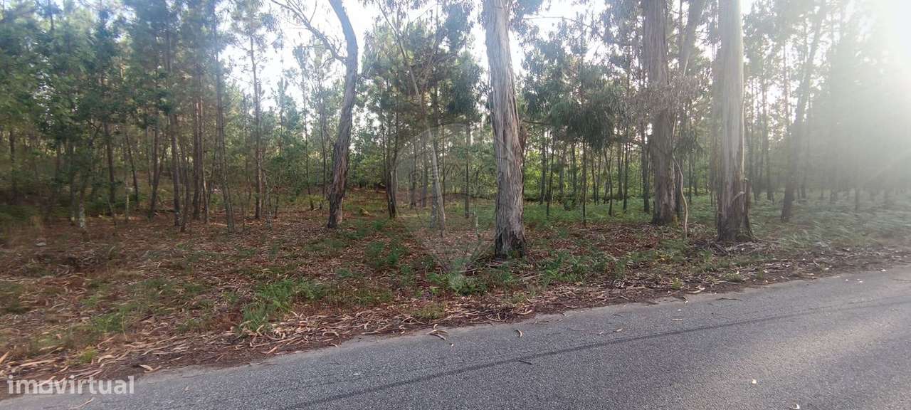 Terreno  para venda - Grande imagem: 3/8