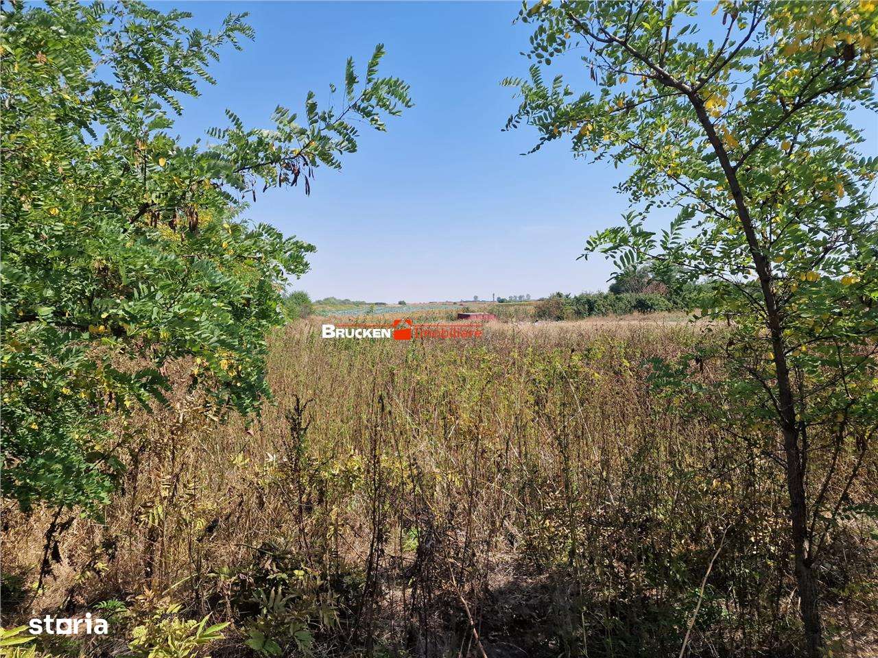 TEREN REZIDENTIAL | TOBOLIU | 1.773 MP - Imagine principală: 1/6