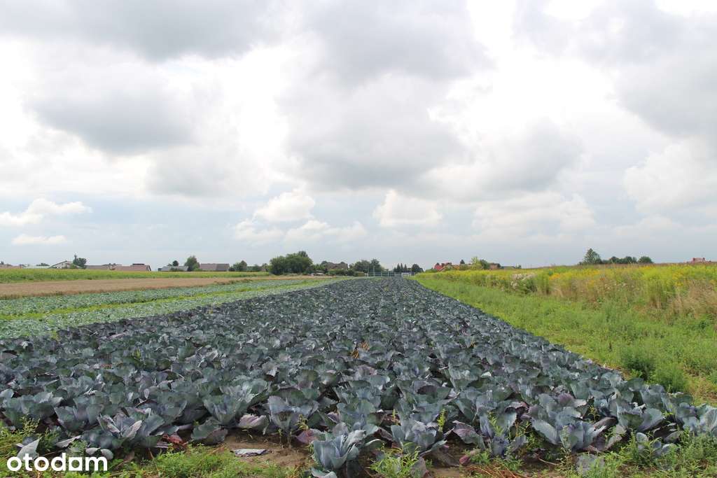 Inwestycyjna Działka w Krakowie, Nowa Huta-6