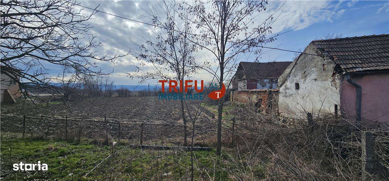 Teren la Drum National pretabil Sala de Evenimente - Imagine principală: 5/12