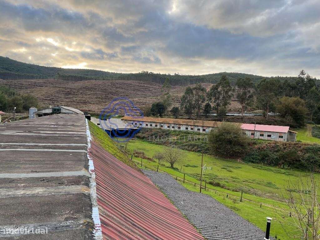 Quinta em Vilar de Mouros - Grande imagem: 4/13